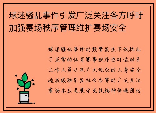 球迷骚乱事件引发广泛关注各方呼吁加强赛场秩序管理维护赛场安全 球迷骚乱事件引发广泛关注各方呼吁加强赛场秩序管理维护赛场安全